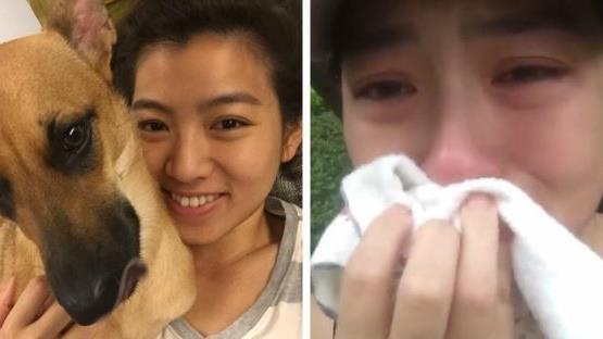 找到了！米可白直播痛哭請大家幫找狗