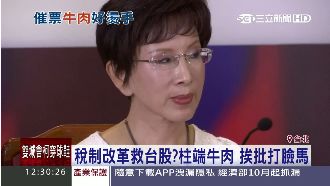柱推修證所稅　綠委：這是自打臉嗎？