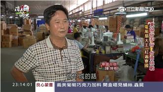 勇闖東協行不行　台商挑戰辛酸路