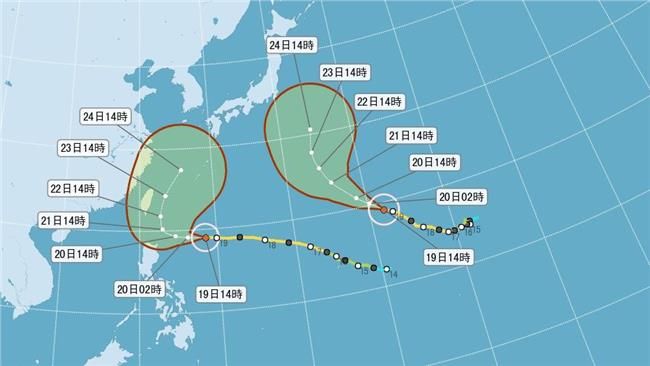 「天鵝」別亂跑！氣象局啟動追風計畫