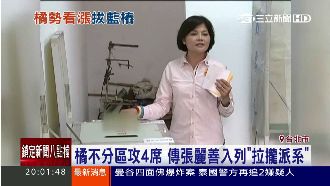 藍樁拔透透？傳老宋找她助攻4席立委