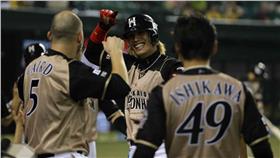 陽岱鋼（圖／取自日本火腿臉書）