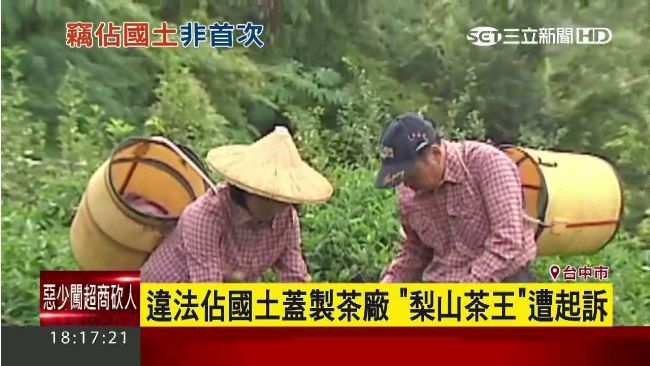 竊占原民保留地　梨山茶王建物遭沒收