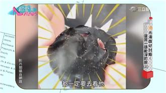 油光OUT！還我一張乾淨的臉（上）