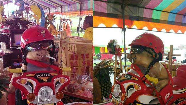 圖／中元祭拜驚現謝金燕造型神豬