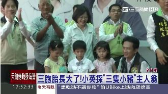 小英接受「三胞胎」告白　開心送新豬