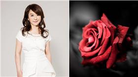 周玉蔻,玫瑰（圖／翻攝自周玉蔻臉書、攝影者aling_, Flickr CC License）https://www.flickr.com/photos/alicelingching/5332064897/in/photolist-98be8p-8j2D3p-qnRMJR-6pRVH-7vStBP-6zpQc3-4WRuNK-mF7qXd-dRNvZQ-qnBV3s-8QZXwV-pZeBu5-i7755c-51abN6-9EXRu4-ejboNJ-6onJb2-6spmBv-pQToFs-7eH8-9FZmuH-pNMR5w-nqtyzT-q6fRoB-bXd7kU-pQNDAB-pjkL3T-ehZHzQ-9F1nZf-e59vt1-9S72mp-nPErcJ-pVEHow-6tQrDr-4qM63B-urqL9K-9QcmE6-dtuzxk-52KrzH-pjmeu6-9EXRuF-owysgn-aC1hNn-5GHtBa-5pUtNr-bYfdp3-5TJH4v-jMR9fa-qFGxHG-evw4ij