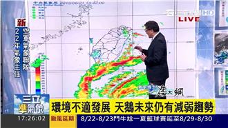 中颱天鵝龜速移動　陸上警報機率低？