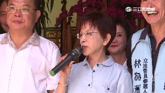 柱姐選情被唱衰　陸學者：無人氣二軍