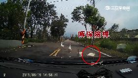 霸王鵝逼車1800