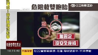 父載龍鳳胎放副駕　母氣炸蒐證理論