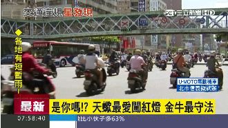 是你？天蠍最愛闖紅燈　最守法的是…