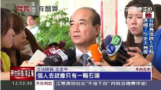 幫「柱」輔選？王金平：我像石頭沒用