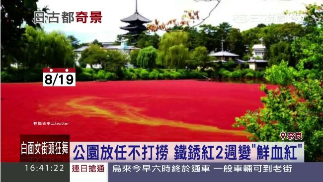 恐怖！日本奈良異常出現大片「血池」