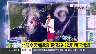 天鵝掰掰！受外圍環流影響台灣仍降雨