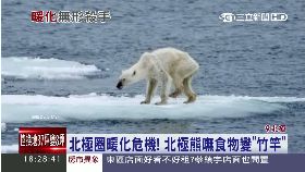 北極熊餓死1800