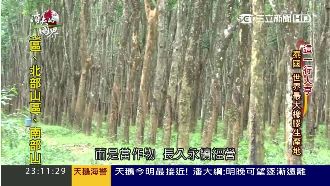 泰國最大橡膠產地　台商點「皮」成金
