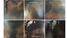 達文西修復照片/臉書
