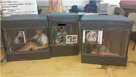 浪浪,流浪狗,狗籠,繁殖場（臉書粉絲團：Mark mak）