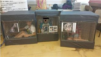 屁孩體驗「關狗籠」不到3分鐘就崩潰