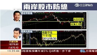 兩岸國家隊救股市　台陸股拚總統防線