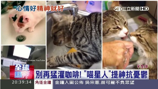 快「度估」了嗎？提神靠牠們最有用
