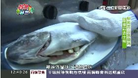 (美食)原民鹽烤魚(九月底前勿刪)