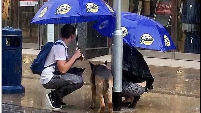 溫馨！善心夫妻脫外套為路邊小狗遮雨