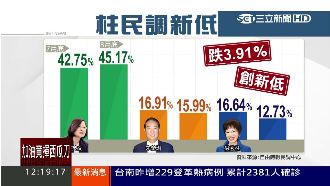 連戰訪中、民調探底　洪選情不進反退