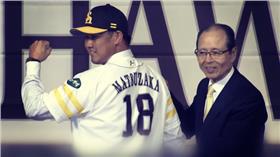 松坂大輔(軟銀fb)