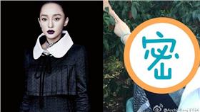 周迅　組圖／翻攝自i周迅、ArchieKao高圣远微博