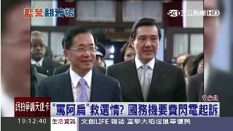 「打扁」拚選情？國務機要費閃電起訴