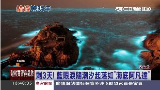 不看會遺憾！超美「藍眼淚」剩3日