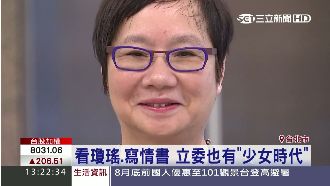 打開記憶大門～立委也有「少女時代」