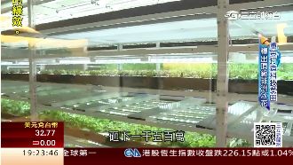 農業配合高科技　室內植物工廠正夯！