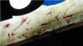 比丘尼,血跡,後車箱,閉關,供詞▲圖／攝影者John, flickr CC Licensehttps://www.flickr.com/photos/grimages/4403726264/