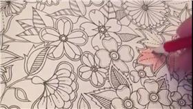 著色本、舒壓／蘇膺中臉書