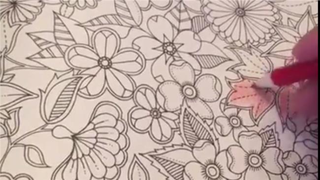 想舒壓這樣做就對了 著色本正確使用方法瘋傳網友笑翻 生活 三立新聞網setn Com