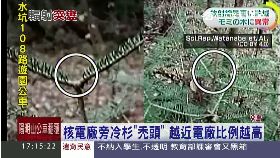 T 福島又異常1700