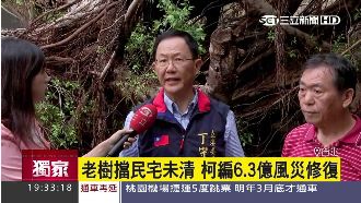 先編預算再清樹　藍委：SOP在哪？