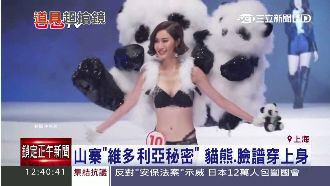 爆笑山寨內衣秀　熊貓、糖葫蘆穿上身