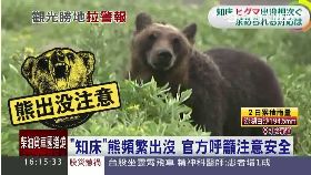 d北海熊出沒1600