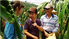 火龍果＿草地狀元