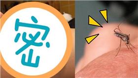 止癢,湯匙,水泡,蚊蟲,血清素▲合成圖／記者蔡炆璇攝、攝影者John Tann, flickr CC License
https://www.flickr.com/photos/31031835@N08/4236607808/