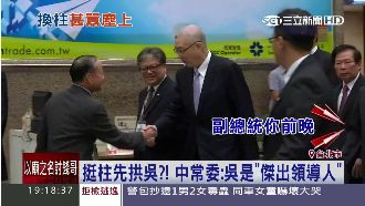 換柱來真的？中常委：吳是傑出領導人