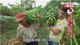 0830-玩客瘋高雄