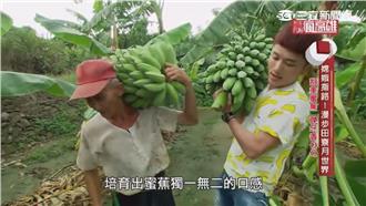 嫦娥來指路！漫步田寮月世界