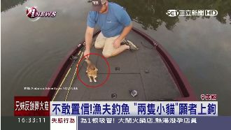影／釣魚釣到貓　漁夫傻眼上演大救援