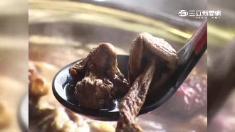 台灣也自產！巴西蘑菇能抗癌、降血糖