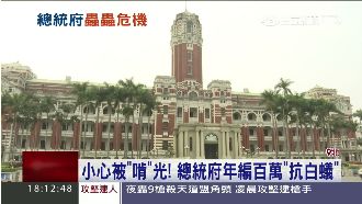 怕被啃光！總統府年編百萬「抗白蟻」